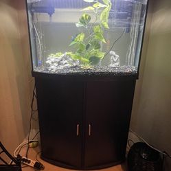 Fish Tank With Stand, Storage And Lightning 