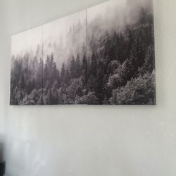 3 Canvas - Each Measure 24x36 Inches 