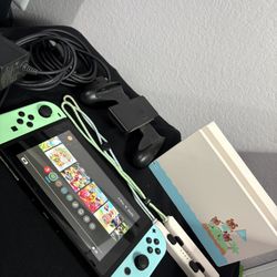Nintendo Switch Animal Crossing Themed 