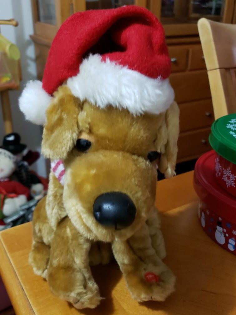 Perro canta Canciones De Navidad