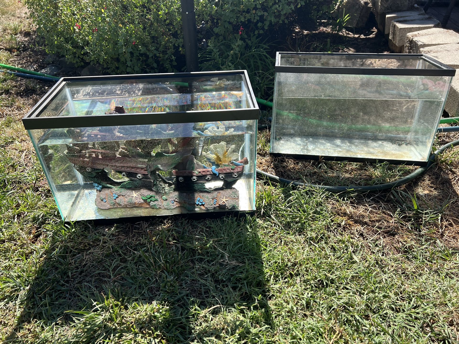 Fish Tanks Need To Find New Home