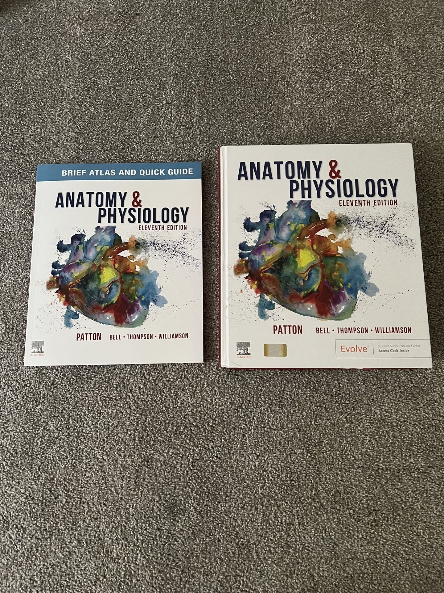 Anatomy & physiology textbook w/ quick guide