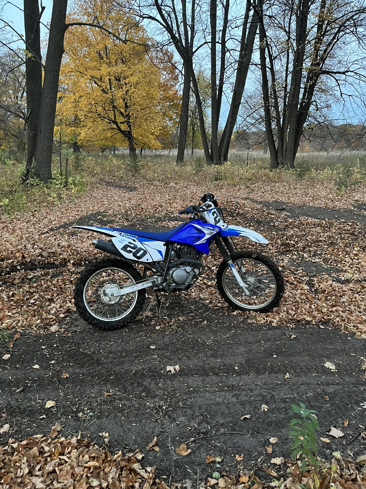 2014 Yamaha TTR230