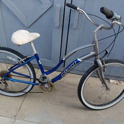 Beach Cruiser.   26"tires 
