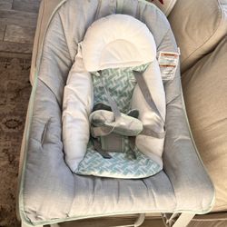 Baby Bouncer & Toddler Seat