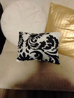 Throw Pillow