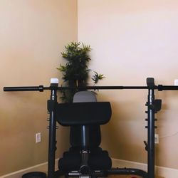 Bench Home Gym Workout