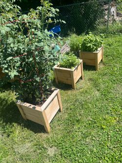 Planter box 15’x16’