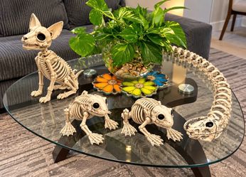 Cute Decorative Animal Skeleton Figurines
