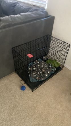 Dog kennel