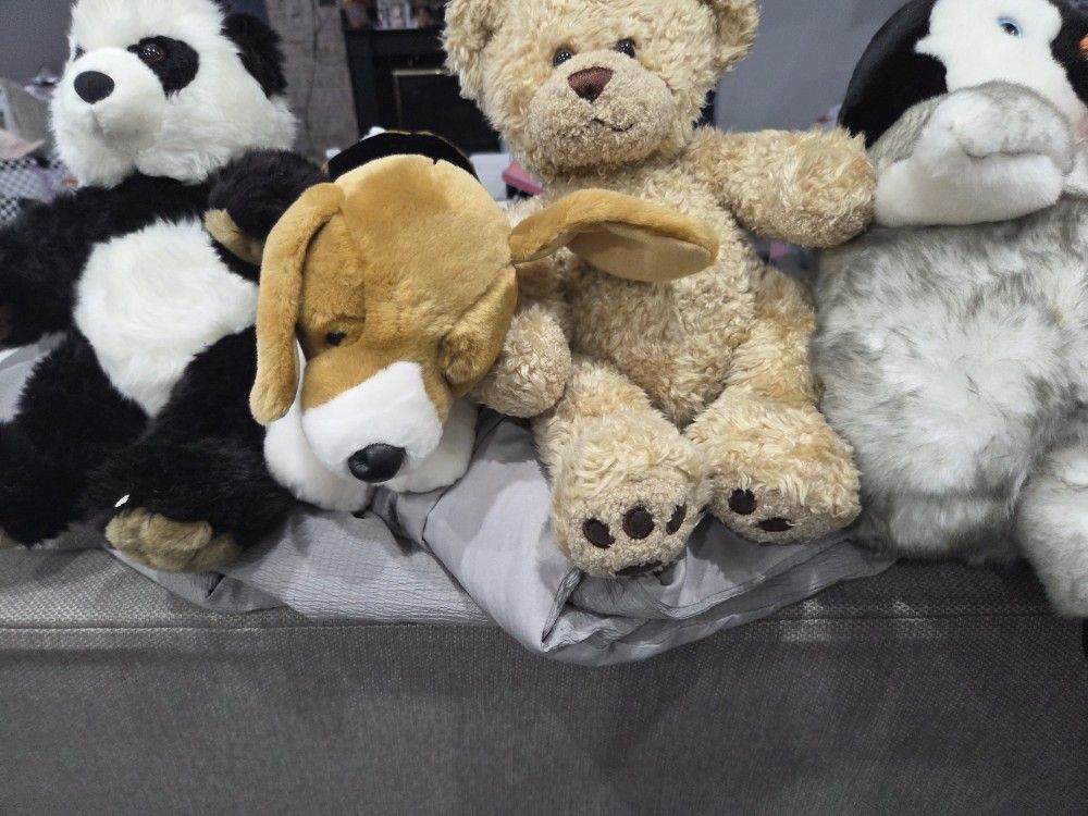 FREE 8 Build A Bears With A Small Bag Of Clothes And Shoes For Them. No Holds First Come