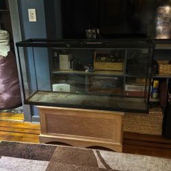 60 Gallon Tank 