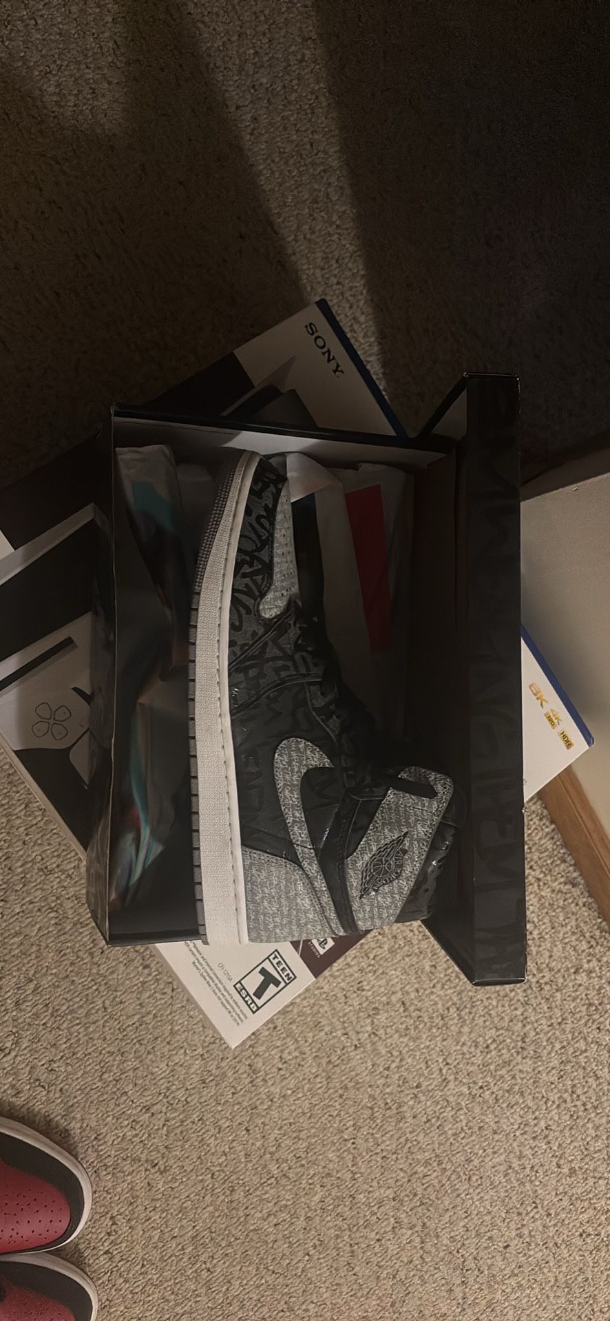 Jordan 1 Rebellionare Size 13