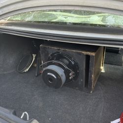 10” Scar Subwoofer 