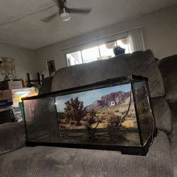 20 Gal Terrarium