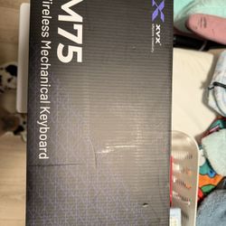 Mechanical Keyboards 