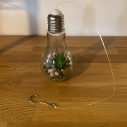 Hanging lightbulb plant (with light)