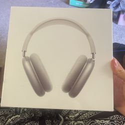 Apple Headphones 