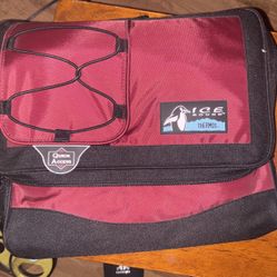Small Insulated Cooler Bag 
