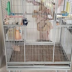 Parrot Steel Cage 