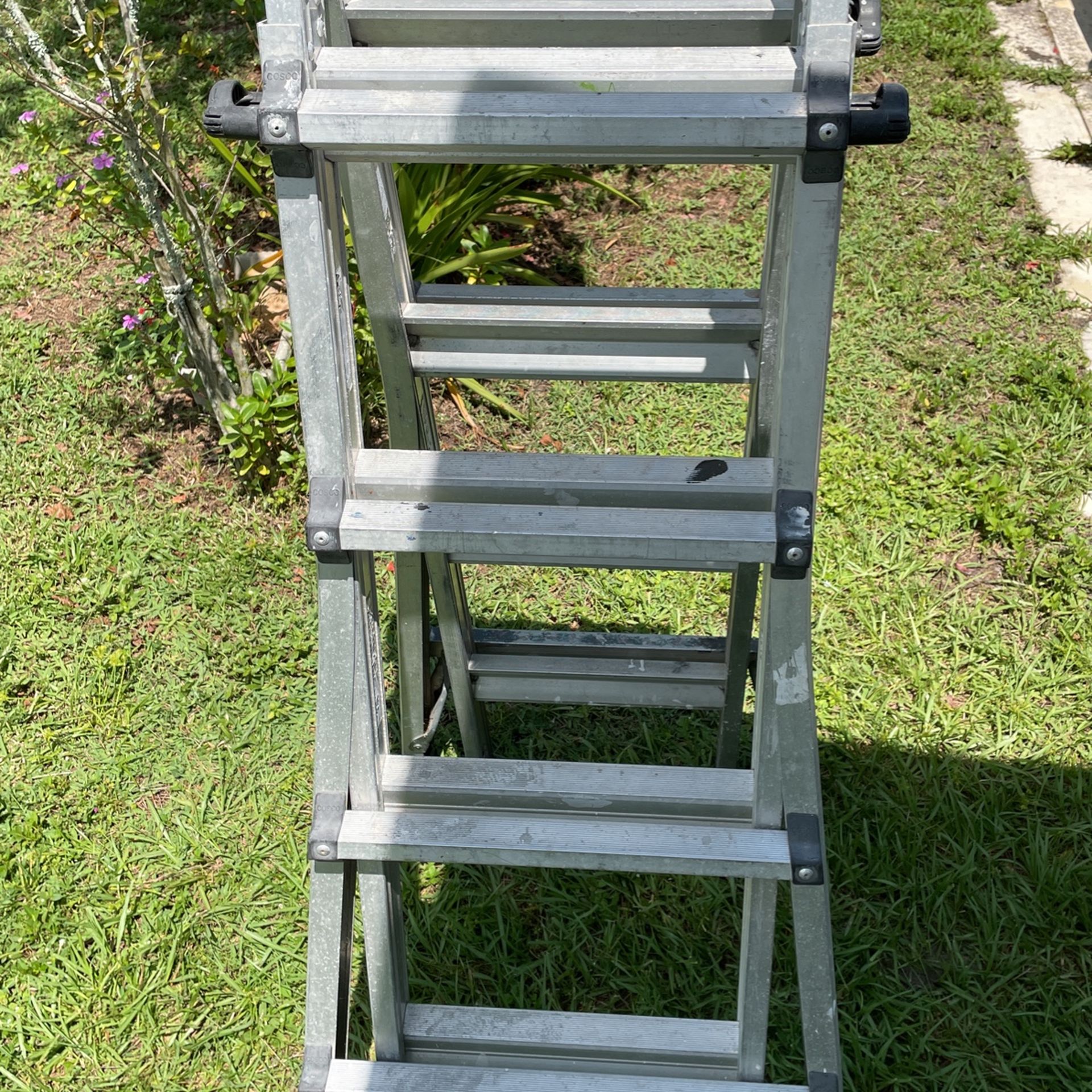 Multi-Task Ladder