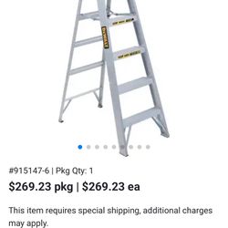 6ft Dewalt Ladder
