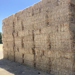 Clean Straw Bales