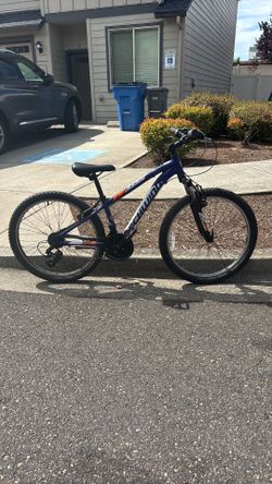 Shwin ranger 24”