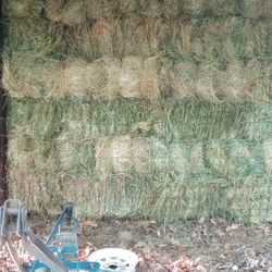 Rye/Fescue Mix - Horse Quality Hay
