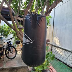 Punch bag