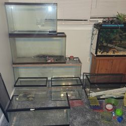Aquarium and Accessories 