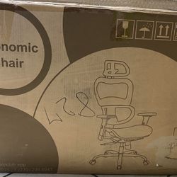 Ergonomic Chair 