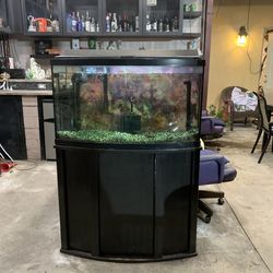 55 gallon Curved Fish Tank with Stand and extras