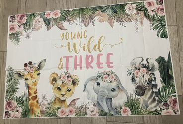 Three Wild Birthday decorations