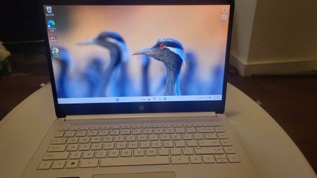 13" HP Notebook
