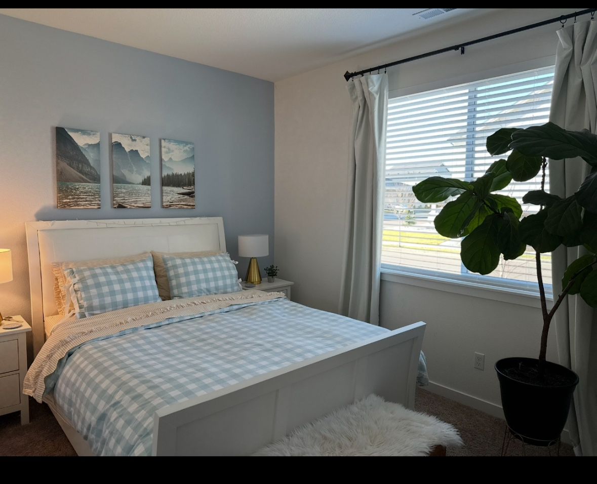 Queen Size White Sleigh Bed. With Box Spring 