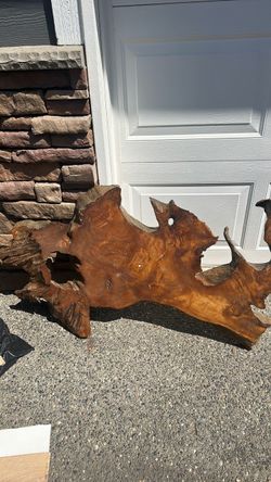 Large Live Edge Wood Slab / Art Piece