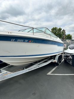 Sea ray boat