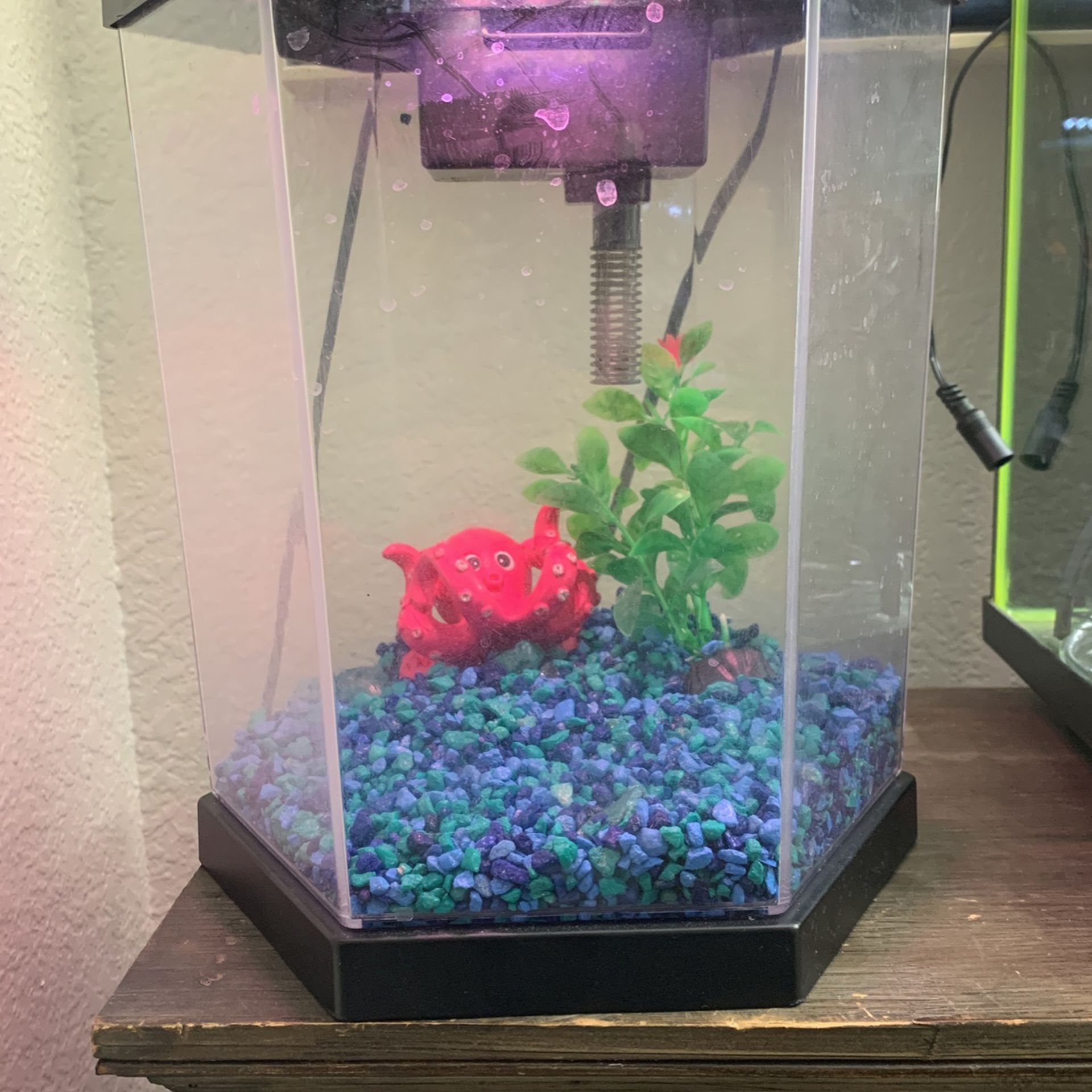 2 Gallon Top Fin Fish Tank Aquarium Color Changing LEDs And Filter
