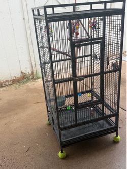 Bird cage (2 birds included) +toys