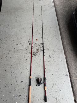 2 Bass Rods