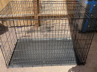 Dog Crate