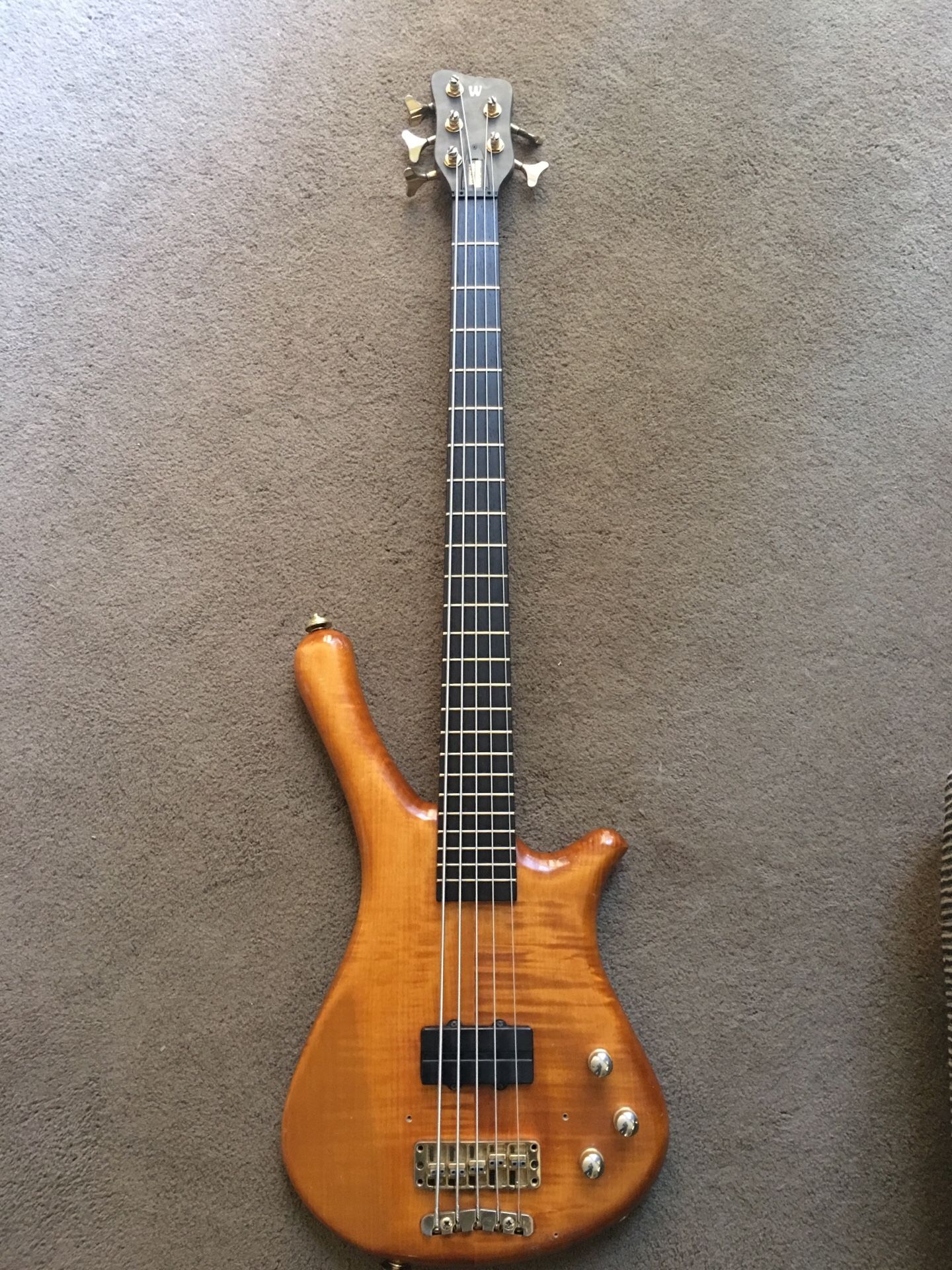 Warwick Fortress Masterman 5 string bass