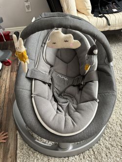 Nuna Baby Seat