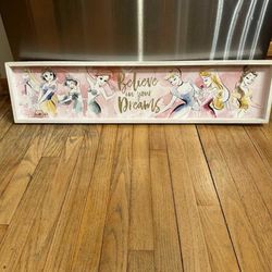 Believe in your dreams princess canvas. Brand new
