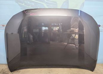 2019-2026 TOYOTA RAV4 HOOD