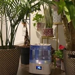 🌿 Levoit 6L Smart Cool Mist Humidifier w/ WiFi & Essential Oil Diffuser – Like New
