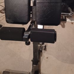 Fitness Inverson Seat For BACK by Yukon