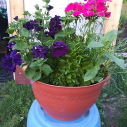 Mix flowers basket