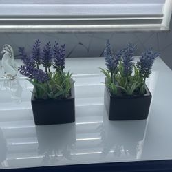 Set of 2 lavender flowers in square brown ceramic pots